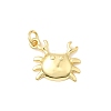 Brass Pendants KK-I364-06G-01-1