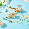 DIY Natural Shell Dangle Earring Making Kits DIY-TA0009-56-5