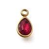304 Stainless Steel Pendants STAS-Q346-04G-09-1