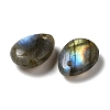 Natural Labradorite Teardrop Charms G-M410-01-01-2