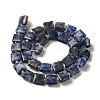 Natural Blue Spot Jasper Beads Strands G-L596-A07-01-3