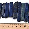 Natural Lapis Lazuli Beads Strands G-S386-D13-5