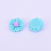 Resin Cabochons RESI-CJC0001-70C-1