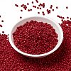 MIYUKI Round Rocailles Beads X-SEED-G008-RR0408-2