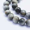 Natural Hawk's Eye Beads Strands G-L478-02-8mm-2