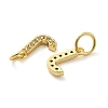 Brass Micro Pave Cubic Zirconia Pendants KK-M273-02G-J-2