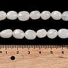 Natural White Jade Beads Strands X-G-E614-B01-08-4