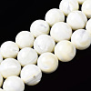 Natural Trochid Shell/Trochus Shell Beads Strands SSHEL-S266-023A-06-1