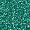 MIYUKI Delica Beads X-SEED-J020-DB1813-3