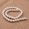 Polished Round Grade A Shell Pearl Bead Strands BSHE-F013-10B-12mm-2