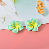 Resin Cabochon CRES-WH20001-06G-1