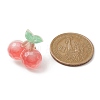 Resin Fruit Brooches JEWB-BR00108-3