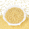 Glass Seed Beads SEED-A011-3mm-142-2