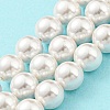 Electroplated Natural Shell Beads Strands SHEL-F008-03B-01-2