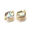 Brass Pave Natural Paua Shell Connector Charms KK-E794-01G-08-2