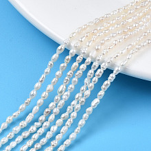 Grade AA Natural Cultured Freshwater Pearl Beads Strands PEAR-N012-02J