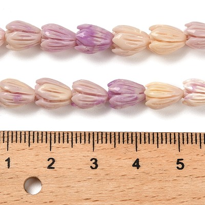 Synthetic Shell Dyed Carved Beads Strands SHEL-K007-08A-01-1
