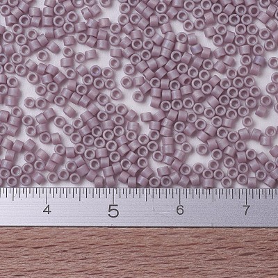 MIYUKI Delica Beads Small SEED-X0054-DBS0875-1