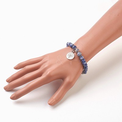 Natural Gemstone Bead Charm Bracelets BJEW-JB03726-1