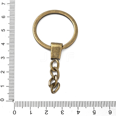 Alloy Keychain Clasps FIND-C084-11AB-1