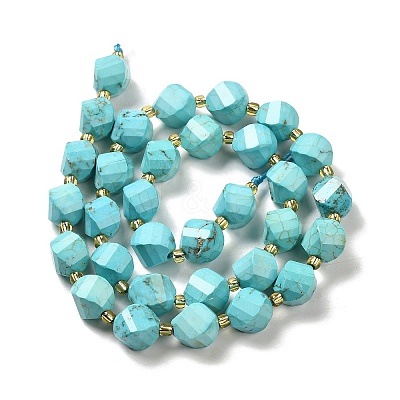 Dyed Natural Howlite Beads Strands G-G023-B01-01B-1