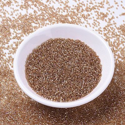 MIYUKI Delica Beads SEED-X0054-DB1241-1