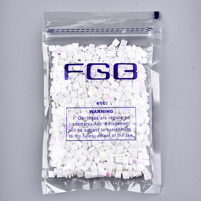 FGB 2-Hole Glass Seed Beads SEED-S031-L-ST41-R-1