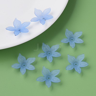 Transparent Acrylic Beads MACR-S373-127-D04-1