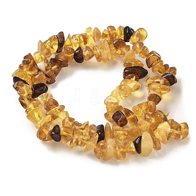 Natural Amber Beads Strands G-L095-D01-04-1