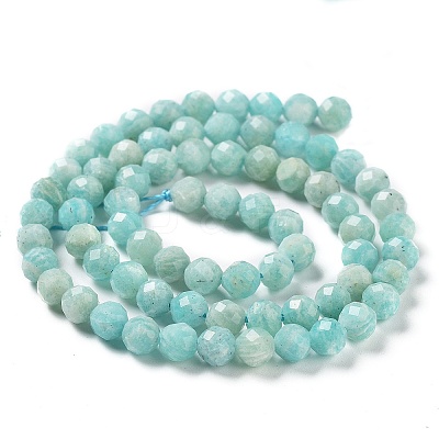 Natural Amazonite Beads Strands G-J400-E11-04-1