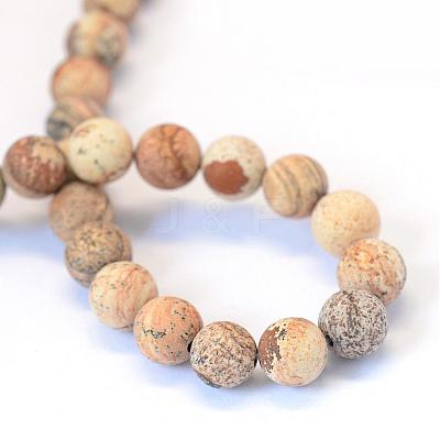 Frosted Natural Picture Jasper Round Bead Strands G-E334-6mm-26-1