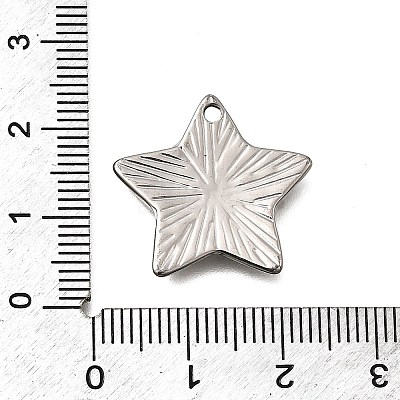 304 Stainless Steel Pendants STAS-Z163-01P-01-1