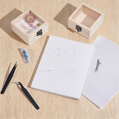Insect Specimen DIY Kit WOCR-GA0001-02-1