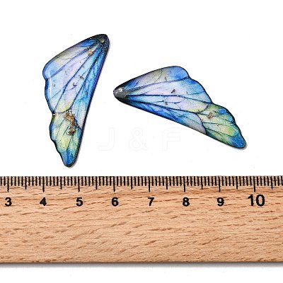 2Pcs Transparent Epoxy Resin Pendants RESI-A044-04D-1