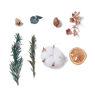 Dried Flowers DIY-D052-06-1