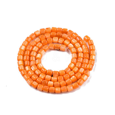 Natural Freshwater Shell Beads Strands SHEL-N003-33-A07-1