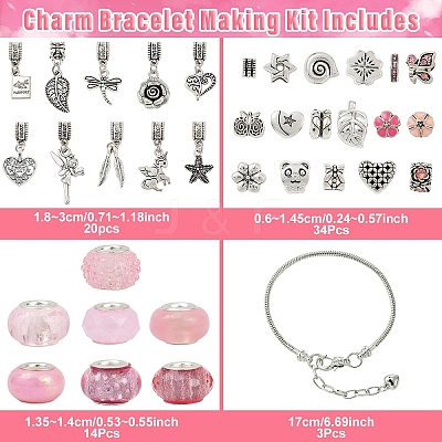 DIY European Style Bracelet Kits. including Alloy & Resin European Beads DIY-YW0012-11B-1