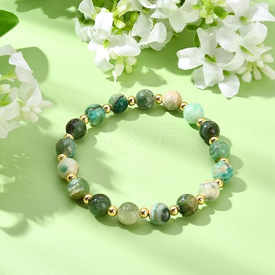 Natural Green Line Jasper & Brass Beads Stretch Bracelets for Women Men BJEW-JB13832-1