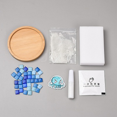 DIY Mosaic Coaster Making Kit TH-CBAB785-01I-1