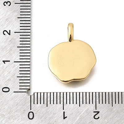 Natural Paua Shell Pendants KK-D255-11G-1