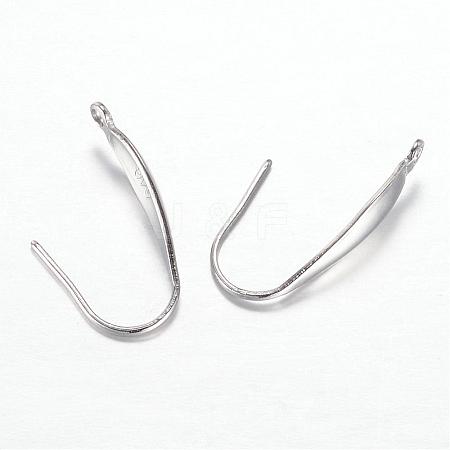 316 Surgical Stainless Steel Earring Hooks STAS-G081-64P-1