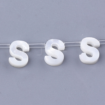 Sea Shell Beads X-SHEL-T012-60S-1