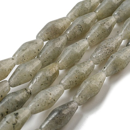 Natural Labradorite Beads Strands G-A223-A04-01-1