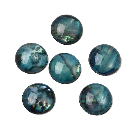 Abalone Shell/Paua Shell Cabochons X-SSHEL-K003-8MM-1