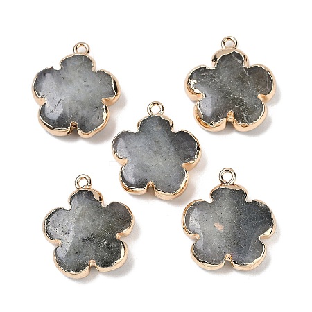 Natural Labradorite Pendants G-P566-01G-08-1