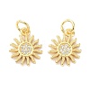 Brass Cubic Zirconia Charms ZIRC-C022-21G-1