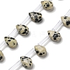 Natural Dalmatian Jasper Beads Strands G-Q167-A20-02-1