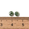 Natural Green Spot Jasper Beads G-U008-01D-4