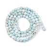 Natural Larimar Beads Strands G-B175-D08-4mm-3