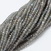 Natural Labradorite Bead Strands G-P271-3mm-07-2